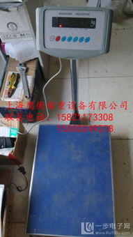 濱州地磅選購(gòu)指南 金屬結(jié)構(gòu)制造與價(jià)格分析